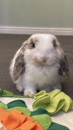 IMG_3535.jpeg