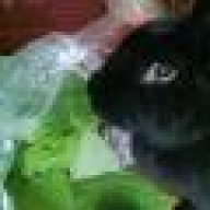 Loula