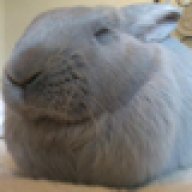 Lady Logamorph