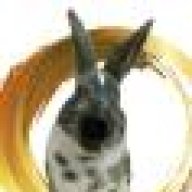 Crazybunnylady4