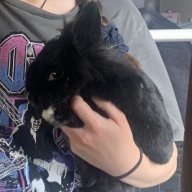 peanutbunny