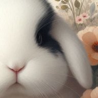 Bunny-Bean
