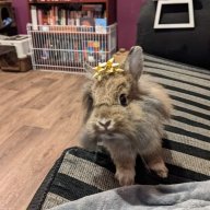 GrahamBunneh