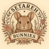 Setarehbunnies