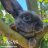 Happy Bunny 7