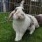 TinyHops