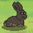TheRarestRabbit